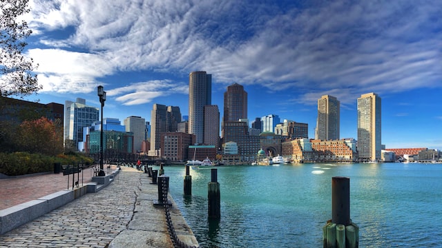 waterside view of a big city CBD skyline image at offices.net