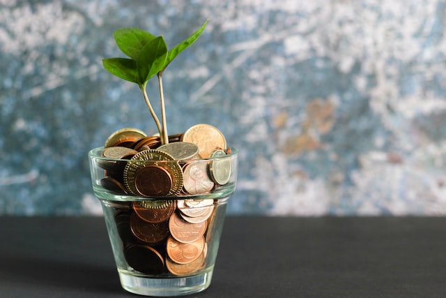 sapling growing out of a glass full of coins image at offices.net
