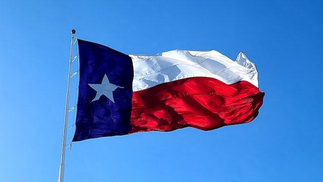 the flag of texas raised on a flag pole fluttering in the wind image at offices.net