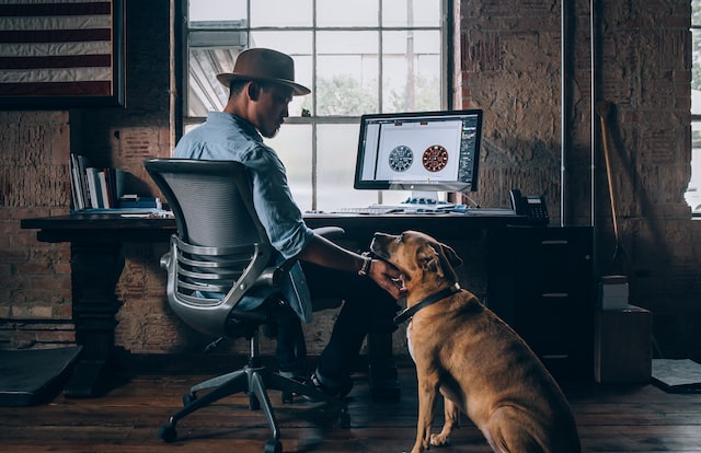 a man wearing a brimmed hat sits at his desk and scratches the chin of the brown dog sitting next to him image at offices.net