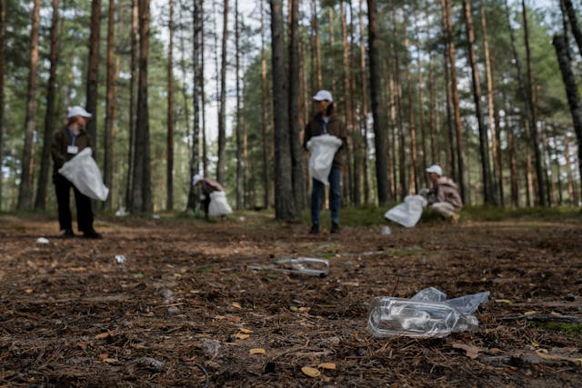 Four office workers wearing casual, warm dress, similar white caps, and holding white plastic trash bags are collecting trash in their local forest as a team activity to celebrate Earth Day. Two are kneeling, picking up items from between trees, and two are standing, looking for more trash. There are two pieces of trash, a glass bottle and scrunched-up plastic in the foreground. Image at Offices.net.
