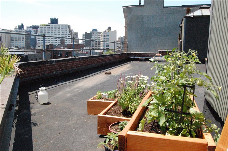 116 W Houston St, Greenwich Village, Downtown, Manhattan Office Images
