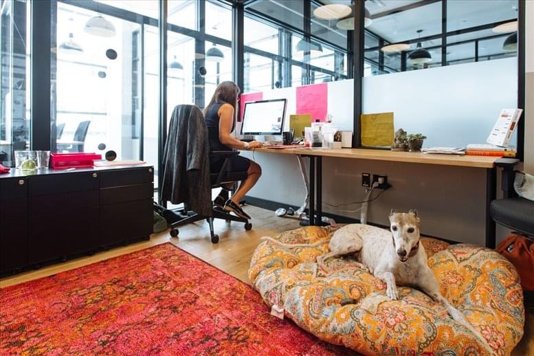 1430 Walnut St, Center City Office Images