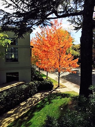 1395 San Carlos Ave, San Carlos Office Images