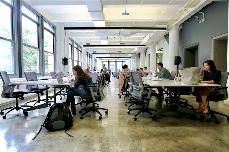 303 Spring St, SoHo, Downtown, Manhattan Office Images