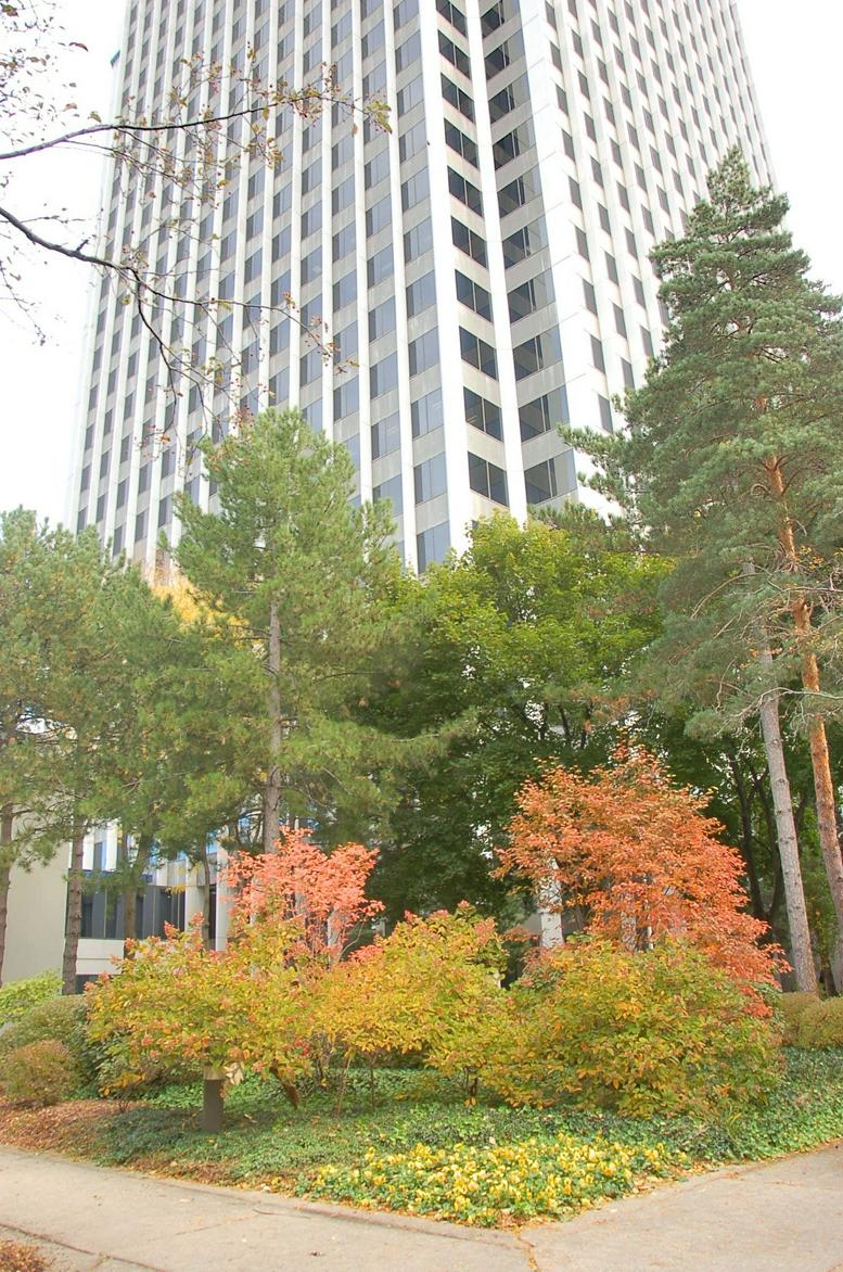 755 West Big Beaver Road, Suite 2020, Top of Troy Office Images