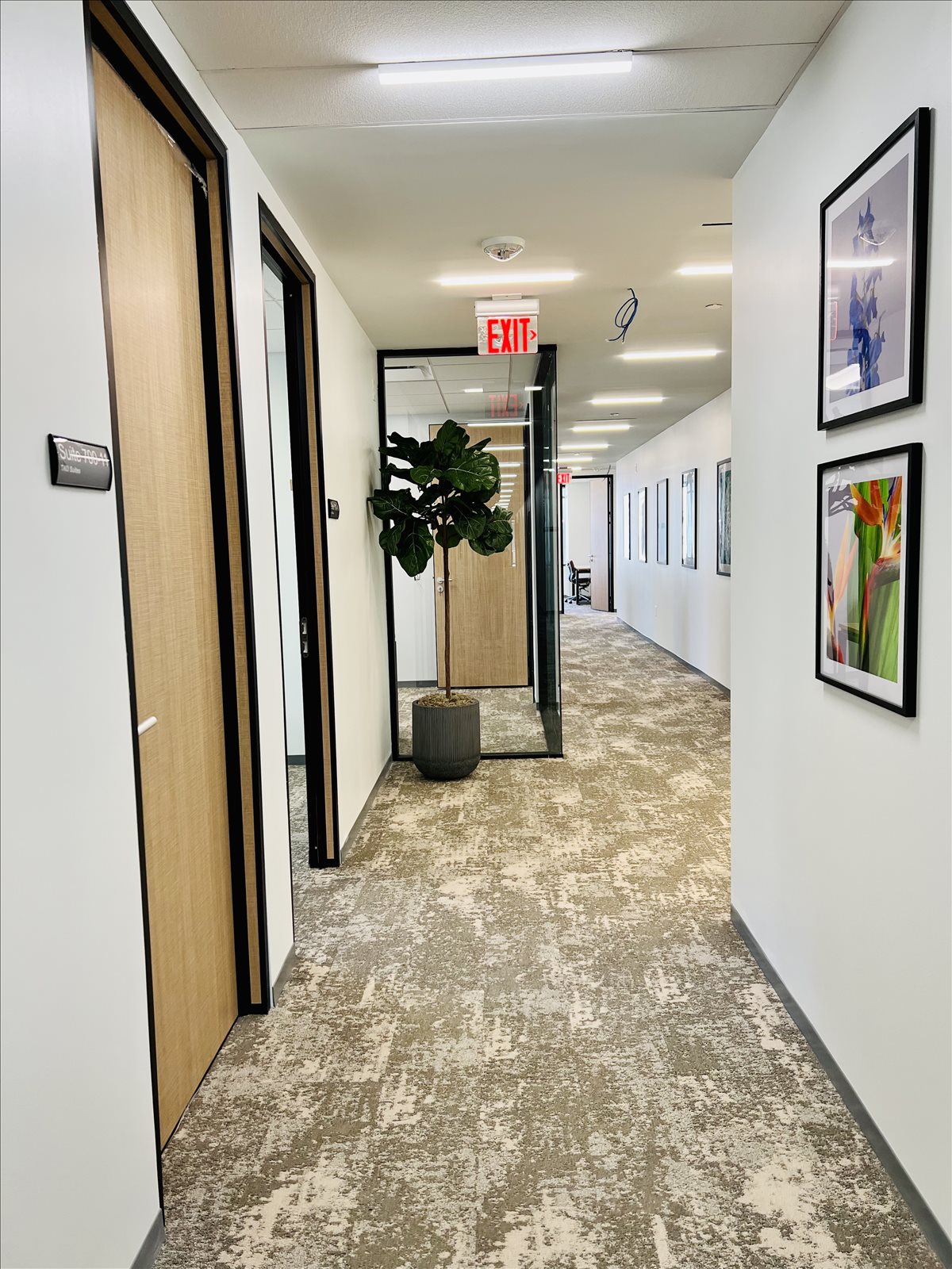 1550 Wilson Boulevard, 7th Floor Office for Rent in Arlington