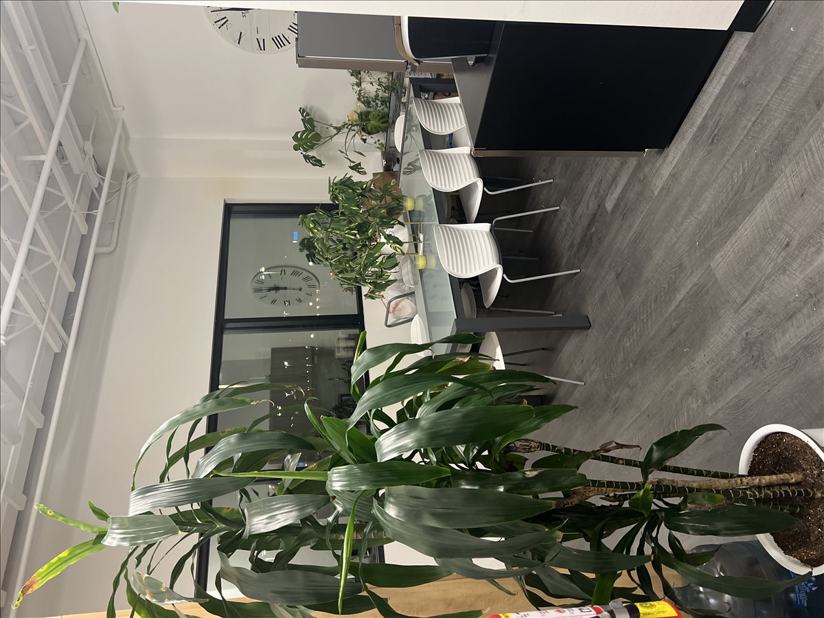 4245 South Grand Canyon Drive, Suite 224 Office Space - Las Vegas