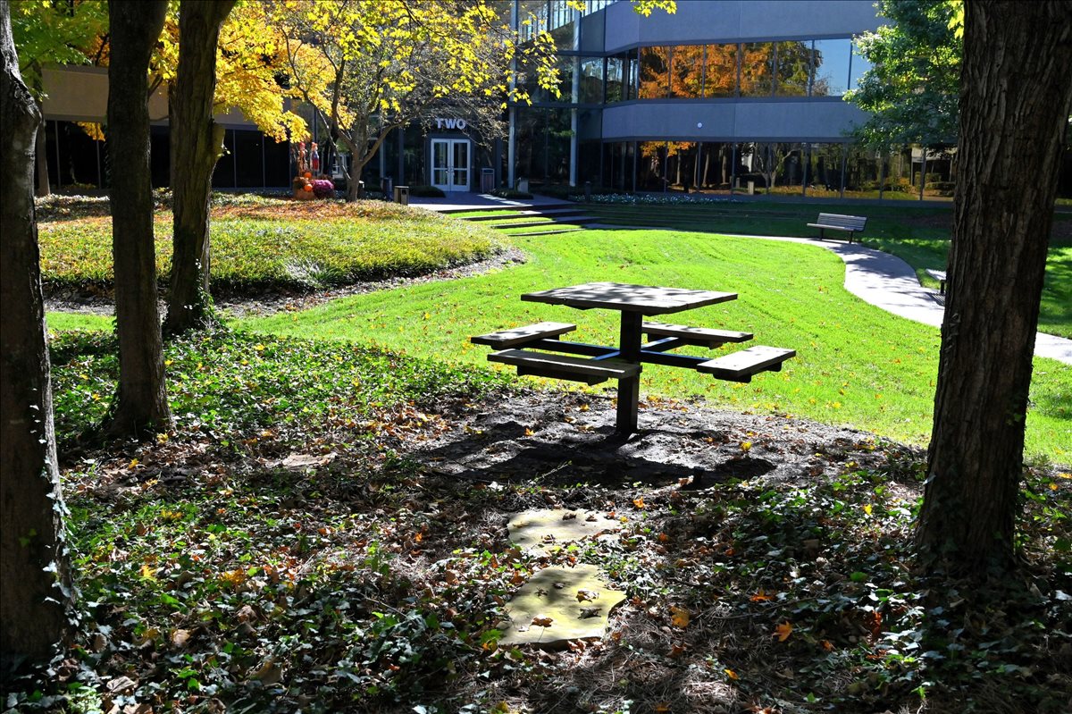 Brentwood Commons, 750 Old Hickory Boulevard, Brentwood Office for Rent in Nashville