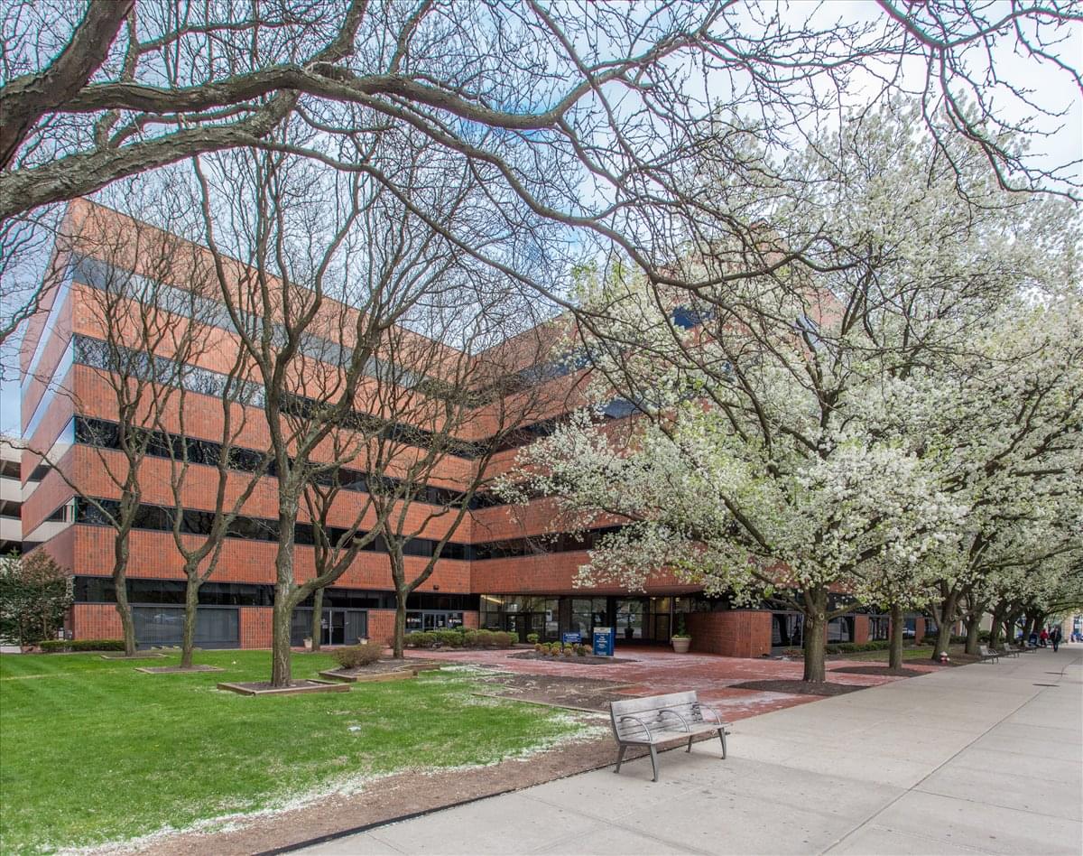 317 George St, 3rd Fl Office Space - New Brunswick