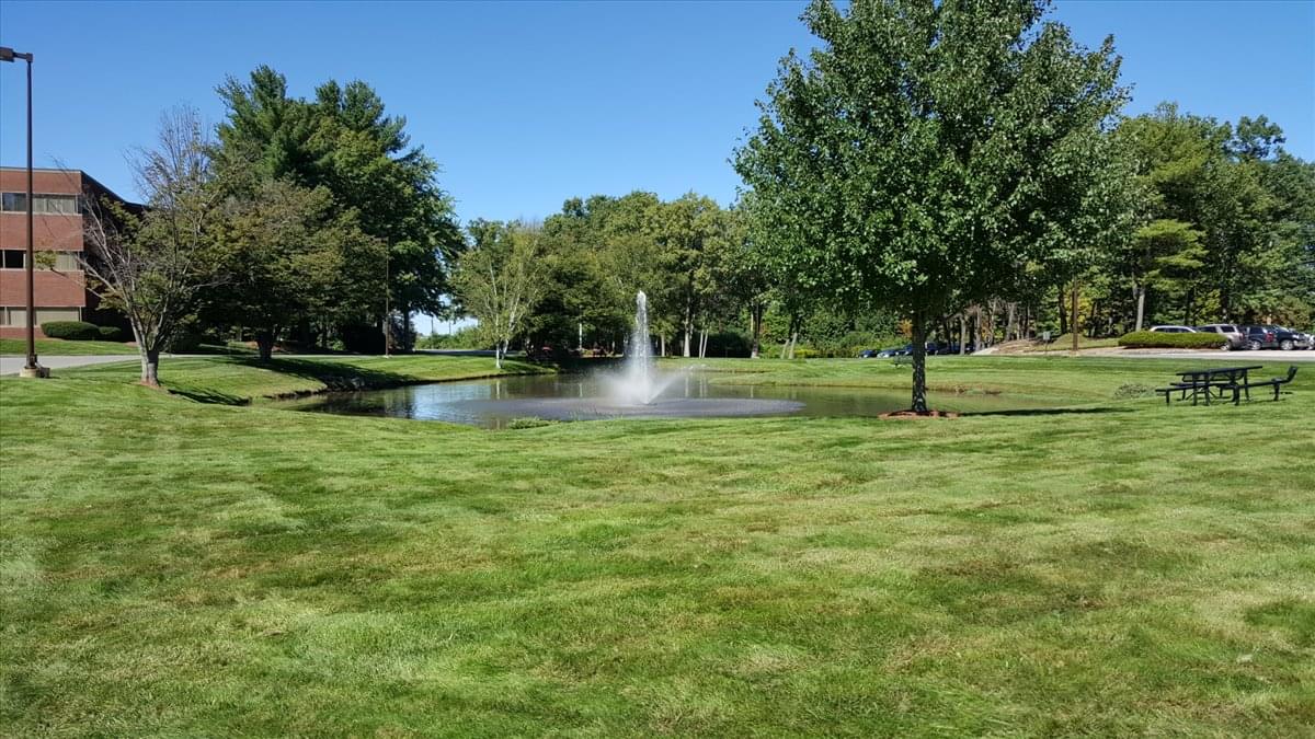 Picture of 3 Executive Park Drive Office Space available in Bedford